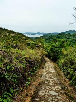 Orangutan Fundraising walk Hong Kong